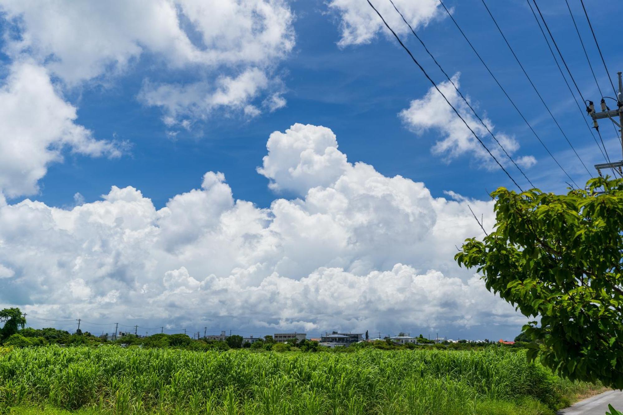 Ada Garden Hotel Okinawa Kunigami Luaran gambar